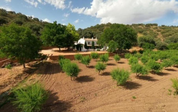 El Pueblo Retreat | Ruidera | Deposit - Image 11