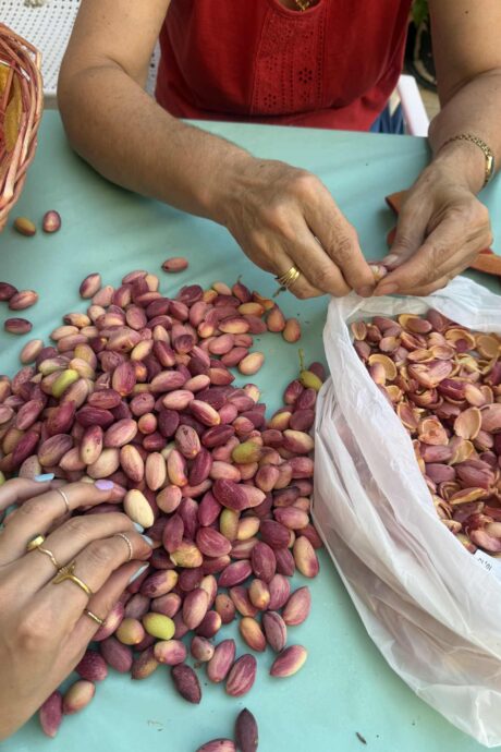 Deposit | PISTACHIO RETREAT | 17-21 September