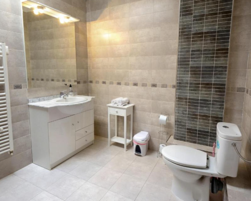 Casa Rural Alonso Quijano 11- bathroom