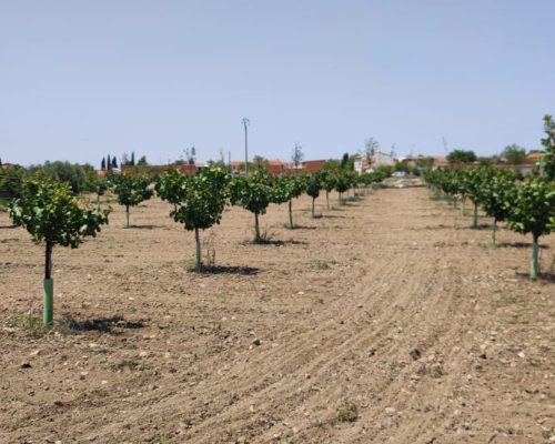 PHOTO-2023-06-26-13-18-45